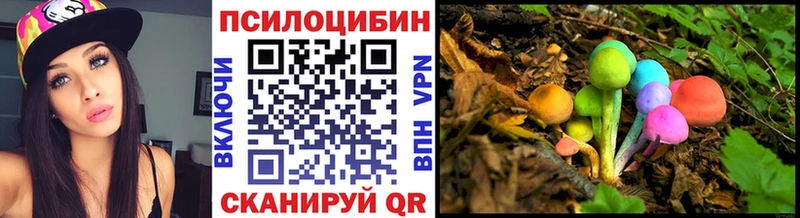 Псилоцибиновые грибы GOLDEN TEACHER  Купить закладки  Оленегорск 